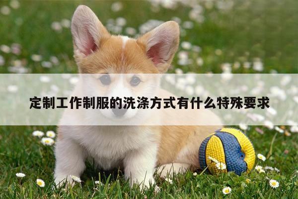 定制工作制服的洗涤方式有什么特殊要求-Bsport体育在线官网